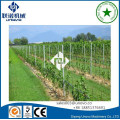 Poste de raisin unovo pour vignoble